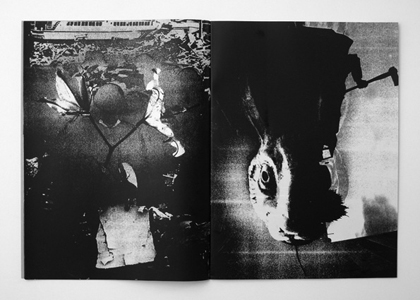 Sun Feels Honest Todae