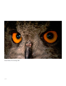 Intempestif, Indépendant, Fragile