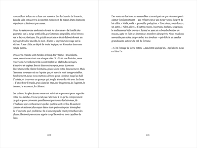 L'amateur d'oiseaux, côté jardin