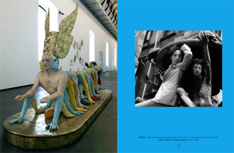 CoacerVolubilEllittico