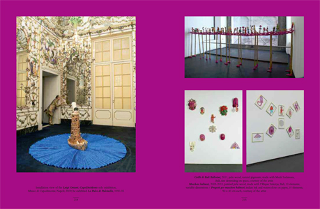 CoacerVolubilEllittico