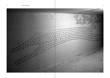 States of Non-Ordinary Reality