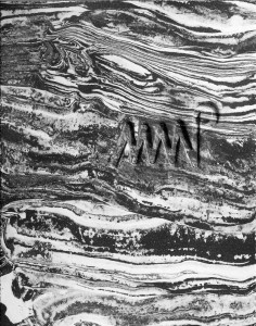 Niek Van de Steeg - The House of the Raw Matter (box set)