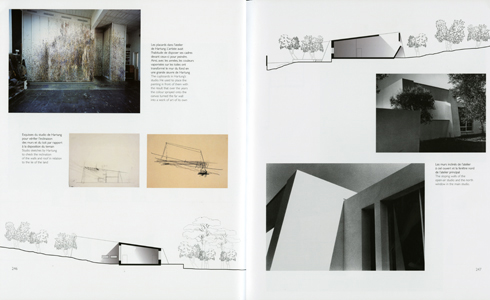 In the Beginning was Lightning