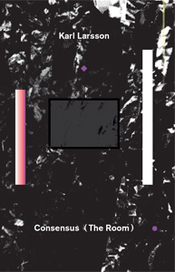 Karl Larsson - Consensus (The Room)