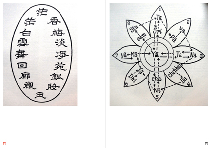 Le Musée des Muses Amusées (MMAM) Imperium Asinum Magnificum (IAM) selon la Poésie Totalement Totale (PTT) (+ CD / DVD)