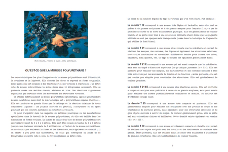 Piccolo Manuale dell'Espressione con la Gommapiuma