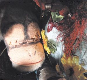 From Etudes to Cataclysms