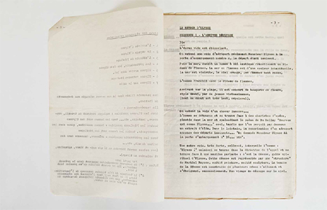 Cinéma Martial Raysse