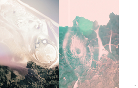 The Enjoyment of Photography