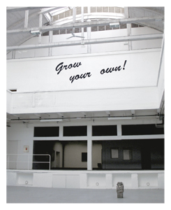 Stéphanie Nava - Considering some Drawings