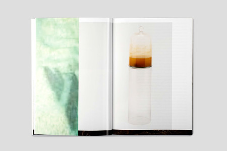 I know it's a zebra when i see stripes