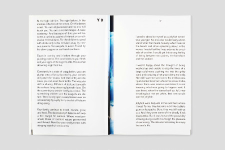 I know it's a zebra when i see stripes