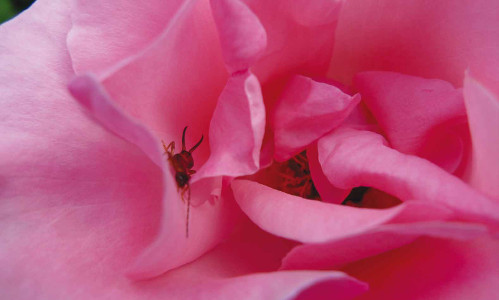 A very small part of infinity