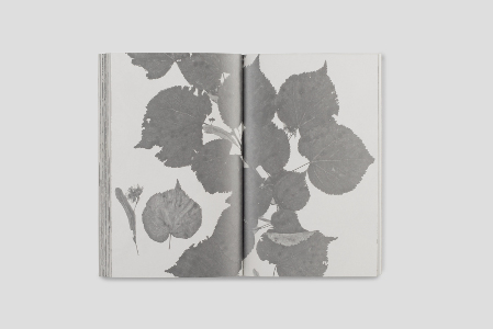 Grand Hotel et des Palmes