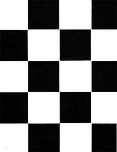 Raoul Ruiz - Le Livre des Disparitions & des Tractations