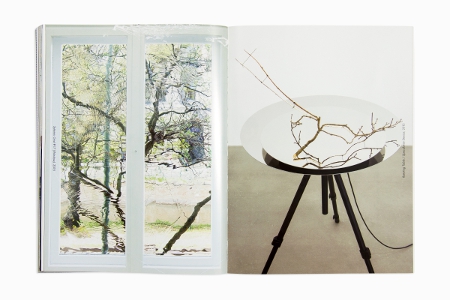 Animal That Doesn't Exist