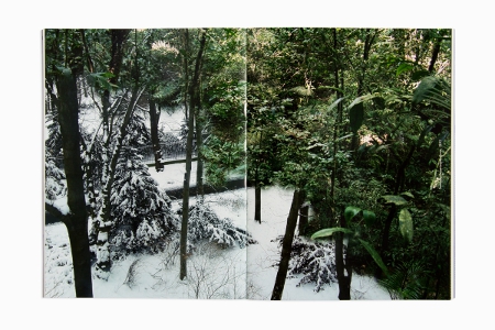 Animal That Doesn't Exist