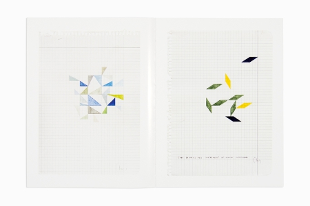 Animal That Doesn't Exist