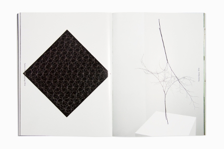 Animal That Doesn't Exist