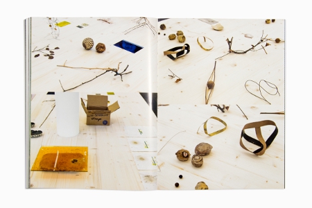 Animal That Doesn't Exist