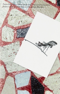 Pedro Barateiro - Palmeiras Bravas / The Current Situation 