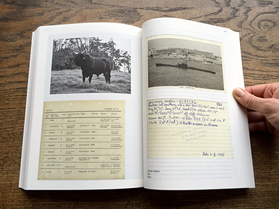 Toward an Aesthetics of Living Beings / Zu einer Ästhetik des Lebendigen