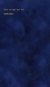 Camille Llobet - Voir ce qui est dit