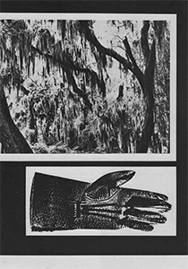 Louis Reith - Décor (P, TG-AIH, TAHoS AE, PGaA ofUS, TF-OtHoJA, S:FaM)