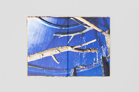 Space Shuttle in the Garden