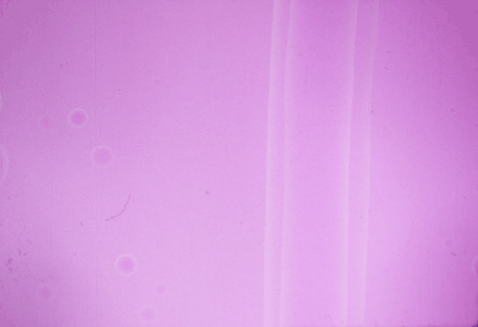 Trois films photographiés