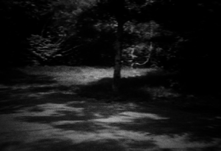 Trois films photographiés