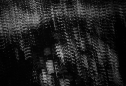 Trois films photographiés