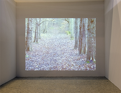 Frac Franche-Comté – Catalogue raisonné 1984-2009