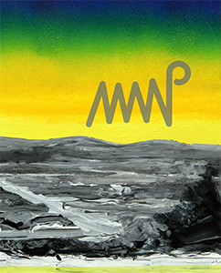 Niek Van de Steeg - The House of the Raw Matter