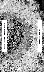  Magali Daniaux & Cédric Pigot - The Diluted Hours