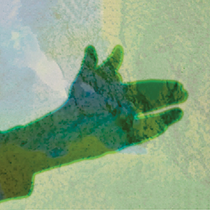  Native Instrument - Camo (vinyl EP)