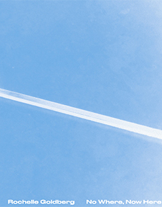 Rochelle Goldberg - No Where, Now Here