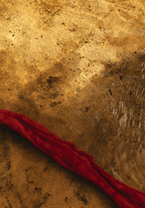 Cecilia Vicuña - Read Thread - The Story of the Red Thread