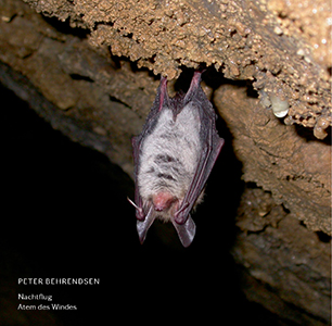 Peter Behrendsen - Nachtflug / Atem des Windes (vinyl LP)