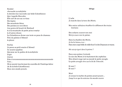 Ce que je n'ai pas dit à Bob Dylan