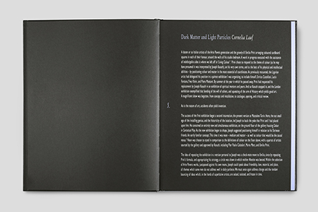 Neon in Contextual Play