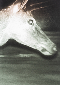 Alex Hanimann - Trapped