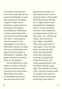 Sculptures / Beavers