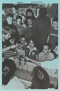 Ludovic Burel - Page Sucker - Lobster