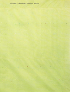 Guy Mees - The Weather is Quiet, Cool, and Soft