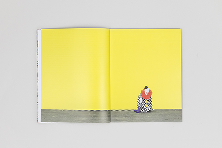 Limited Edition (5 volume box set)