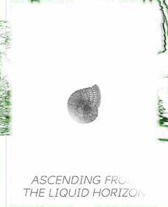 Ascending from the Liquid Horizon