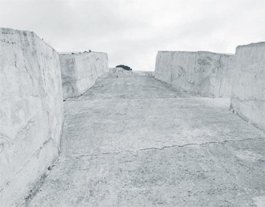 Neither Nor / Né altra né questa