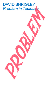 David Shrigley - Problem in Toulouse